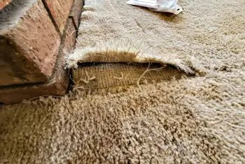 Carpet Torn Repair 